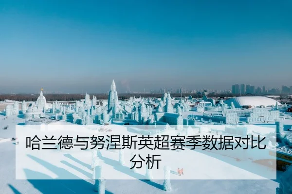 哈兰德与努涅斯英超赛季数据对比分析