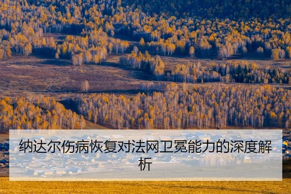 na-da-er-shang-bing-hui-fu-dui-fa-wang-wei-mian-neng-li-de-shen-du-jie-xi-2-850.jpg